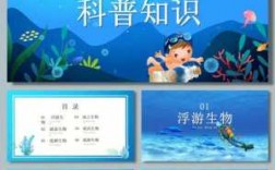 小学生海洋科技知识（小学生海洋生物科普知识）