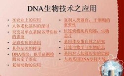 dna科技知识（dna技术应用）