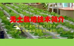 种植科技知识图片大全简单（科技种植技术）