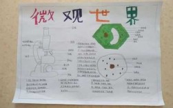 科技知识手抄报大全显微镜（科技手抄报科学）