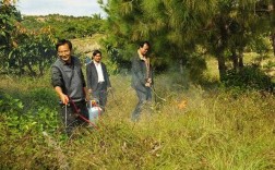 农业除草科技知识培训（农业除草技术）