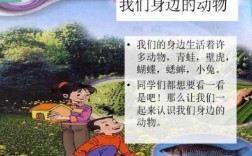 动物给人提供的科技知识（动物给我们带来哪些科学帮助）