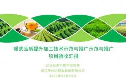 关于茶叶的高科技知识有哪些（茶叶的科技创新）