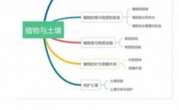 土壤种植科技知识点（土壤相关知识点）