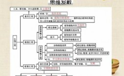 现代生物科技知识图（现代生物科技知识图谱）