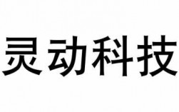 灵动科技知识产权（灵动科技知识产权是什么）