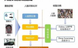 人脸识别科技知识（人脸识别技术的总结）