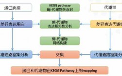 代谢组学的应用科技知识（代谢组学kegg）