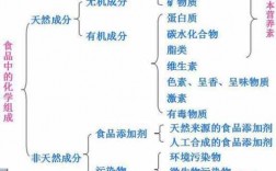 制备食物的科技知识点总结（制备食物的科技知识点总结图）