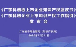 广东科技知识产权局（广东科技知识产权局官网）