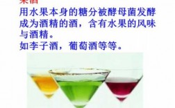 果酒制作科技知识大全视频（果酒的制作过程及原理课件）