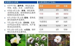 关于棉花的科技知识有哪些（棉花的科学知识）