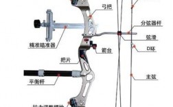 复合弓的科技知识介绍怎么写（复合弓的结构和激发原理）