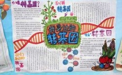 现代生物科技知识手抄报（现代生物技术手绘海报）