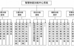 体育科技知识人工智能（人工智能体育训练解决方案）