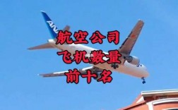 航空公司科技知识大全下载（航空科技公司是干嘛的）