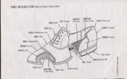 鞋的十大科技知识点图片（鞋子的知识大全）