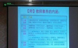 教师文化素养科技知识（教师文化知识素养有哪些）