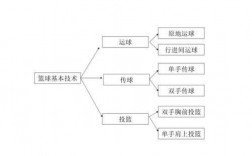 篮球运动中的科技知识点（常用的篮球技术）