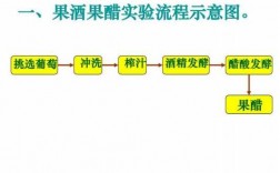 果酒制作科技知识点（果酒的制作实验设计）