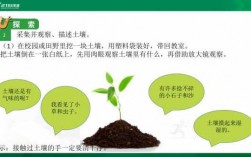 土壤种植科技知识培训课件（土壤科普知识）