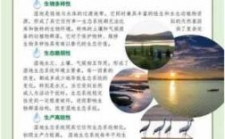 湿地科技知识宣传（湿地科技知识宣传图片）