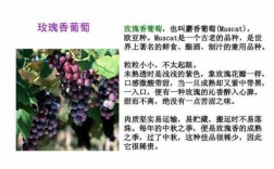 酿酒葡萄种植科技知识点（酿酒葡萄种植科技知识点总结）