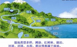 湿地科技知识问答题及答案（湿地科技知识问答题及答案高中）