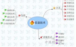 信息科技知识结构图片大全（信息科技思维导图）