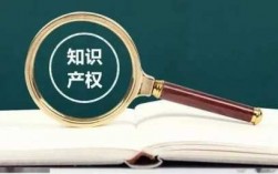 电子科技知识产权（电子知识产权体系）