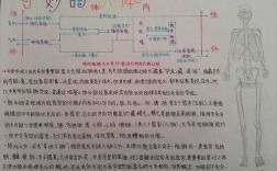 人体的生命科技知识手抄报（人体生命科学突破技术）