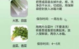 蔬菜保存科技知识点总结（蔬菜的保存条件怎么写）