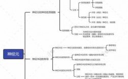 关于神经元的科技知识（神经元的知识框架图）