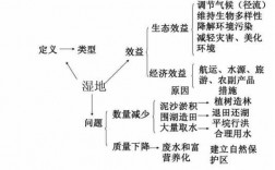 湿地科技知识点总结图（湿地科技知识点总结图片大全）