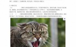 养猫必备科技知识点图片（养猫的必备知识）