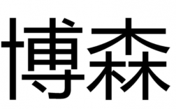 博森科技知识库（博森科技有限公司可靠吗）