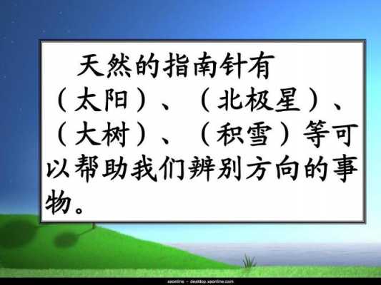 小学语文课本中的科技知识（小学科技术语有哪些）-图3