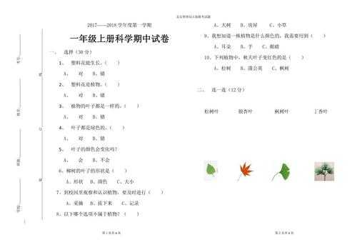 小学一年级科技知识题（一年级科技技能）-图1