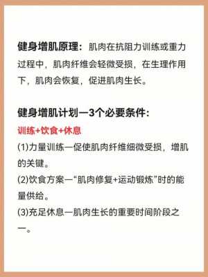 健身常用科技知识点归纳（健身常用科技知识点归纳图）-图3