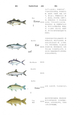 鱼的环保知识科技知识（鱼的自述环保）-图2