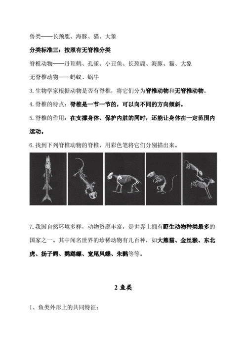 动物们的科技知识点（动物的科学小知识）-图1