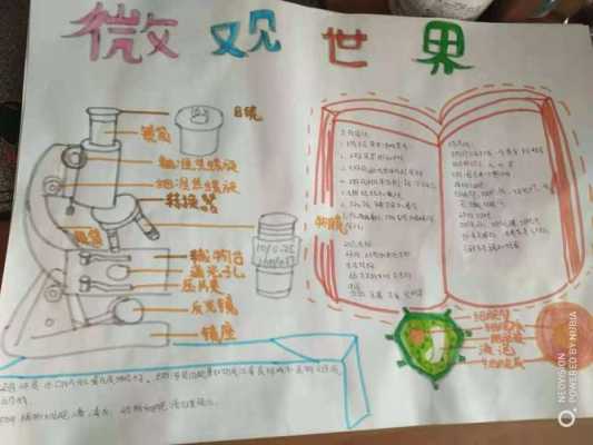 科技知识手抄报大全显微镜（科技手抄报科学）-图3