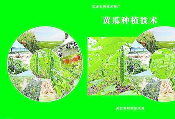 种植科技知识图片（种植科技知识图片高清）-图3