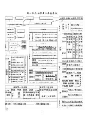 科技知识点高中生物总结（科技知识点高中生物总结图）-图2