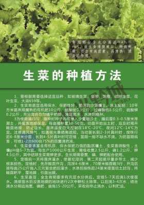 种植生菜科技知识宣传语（种植生菜科技知识宣传语句）-图1