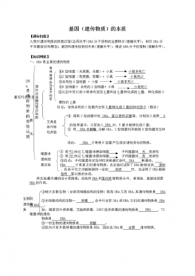 跟基因有关的科技知识点（有关基因的技术）-图3