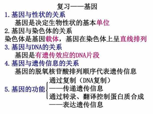 跟基因有关的科技知识点（有关基因的技术）-图2