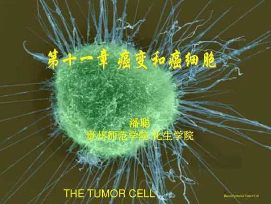 识别癌细胞的科技知识有哪些（识别癌变细胞）-图1