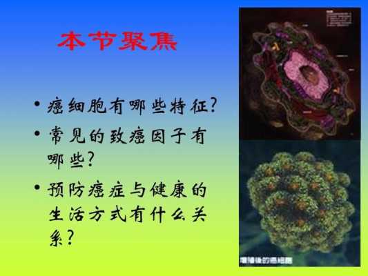 识别癌细胞的科技知识有哪些（识别癌变细胞）-图3