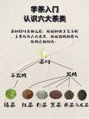 茶叶的黑科技知识（茶叶科普）-图2